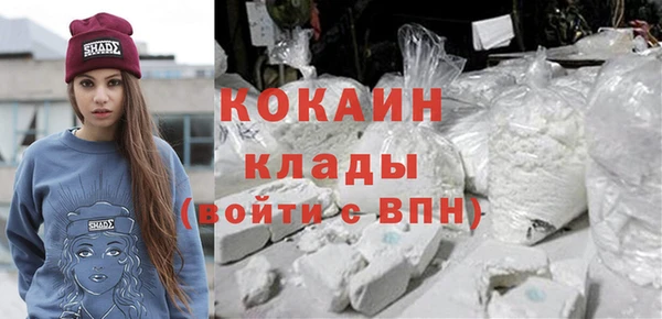 гашик Заводоуковск
