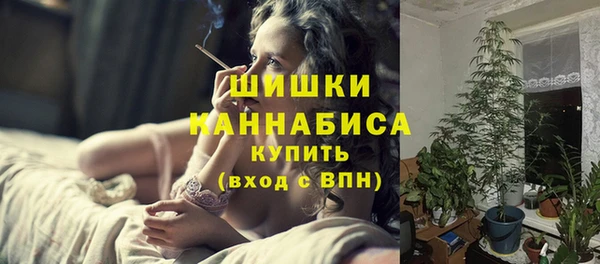 гашик Заводоуковск