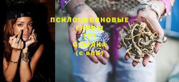 гашик Заволжск