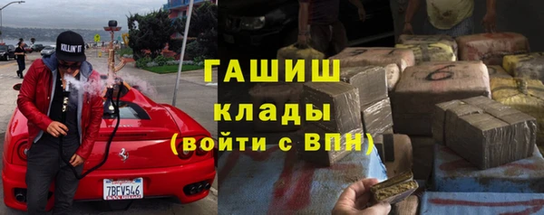 гашик Заводоуковск