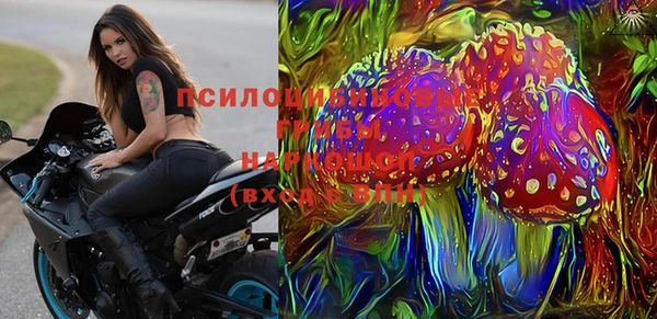 гашик Заводоуковск