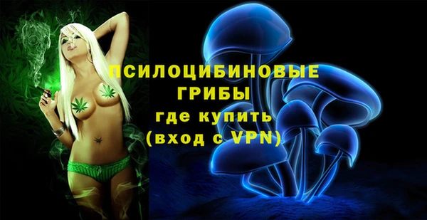 ПСИЛОЦИБИНОВЫЕ ГРИБЫ Зеленокумск