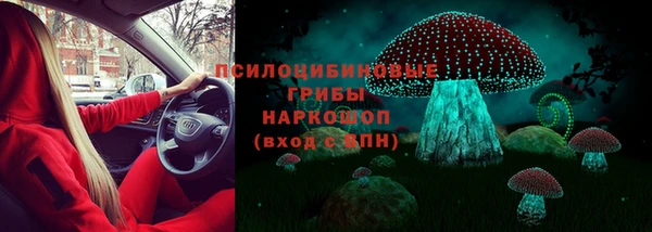 ешки Зерноград