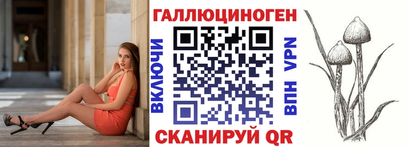 Псилоцибиновые грибы Psilocybine cubensis  Купить закладки  Белозерск 